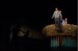 Magali Castellan - Costumière accéssoiriste - Réalisation de costumes de théâtres - Le nid - théâtre de rue  - Revêtement du nid - Patine du container
